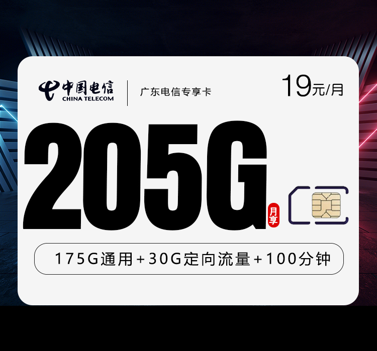广东电信专享卡新 【首年19元205G+100分钟】