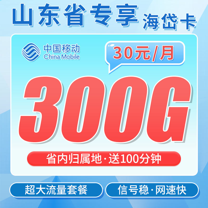 移动鲁岱卡30元300G+100分钟+山东专属！